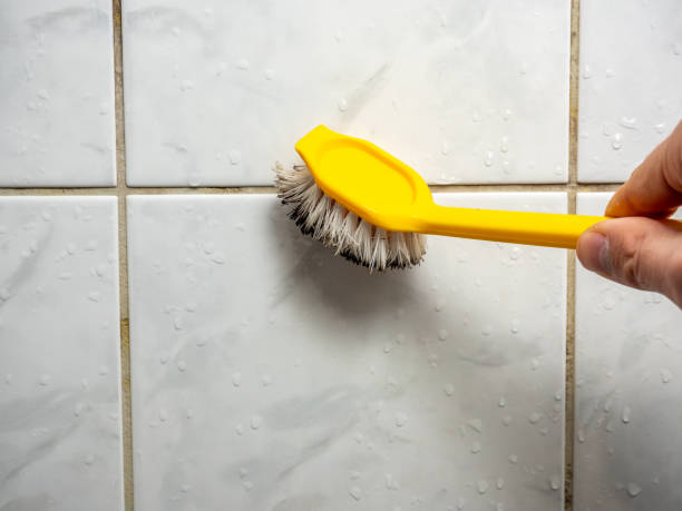 Best Fast Mold Removal  in Federalsburg, MD
