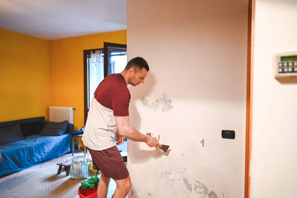 Best Residential Mold Removal  in Federalsburg, MD